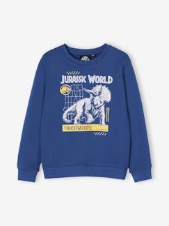 Jungenkleidung-Pullover, Strickjacken, Sweatshirts-Jungen Sweatshirt JURASSIC WORLD