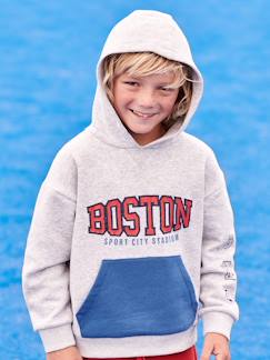 Jungenkleidung-Pullover, Strickjacken, Sweatshirts-Jungen Sport-Kapuzensweatshirt „Boston“