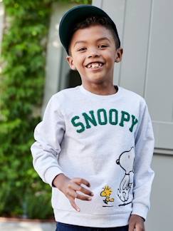 Jungenkleidung-Jungen Sweatshirt PEANUTS SNOOPY