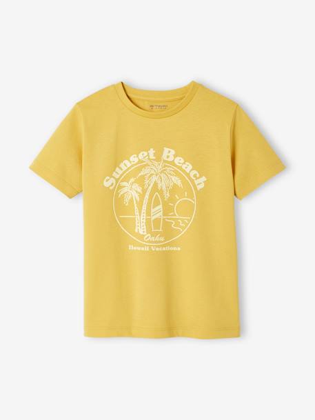 3er-Pack Jungen T-Shirts BASIC Oeko-Tex - pack braun+pack gelb+pack grün+pack rot - 14