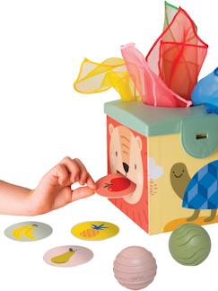 Spielzeug-Baby-Baby Activity-Spielzeug ZAUBERBOX TAF TOYS