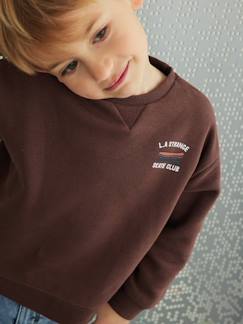 Jungenkleidung-Pullover, Strickjacken, Sweatshirts-Sweatshirts-Jungen Sweatshirt