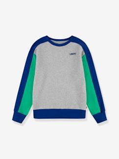 Kinder Logo-Sweatshirt Levi's  [numero-image]