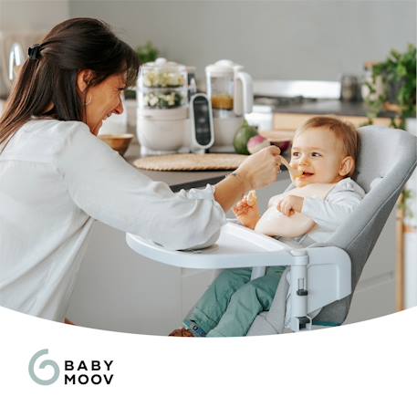 Multifunktions-Dampfgarer NUTRIBABY+ BABYMOOV beige+grau+grün 2