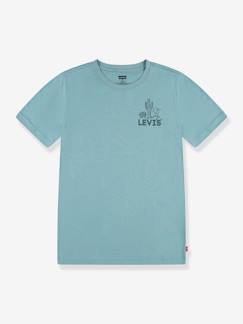 Jungen T-Shirt mit Print Levi's, Bio-Baumwolle  [numero-image]