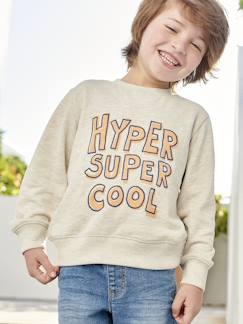Jungenkleidung-Pullover, Strickjacken, Sweatshirts-Sweatshirts-Jungen Sweatshirt mit Print BASIC Oeko-Tex