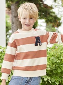 Jungenkleidung-Pullover, Strickjacken, Sweatshirts-Sweatshirts-Jungen Sweatshirt mit Frottee-Patch