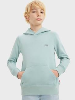 Jungenkleidung-Shirts, Poloshirts & Rollkragenpullover-Shirts-Jungen Kapuzensweatshirt LVB Mini Batwing Levi's