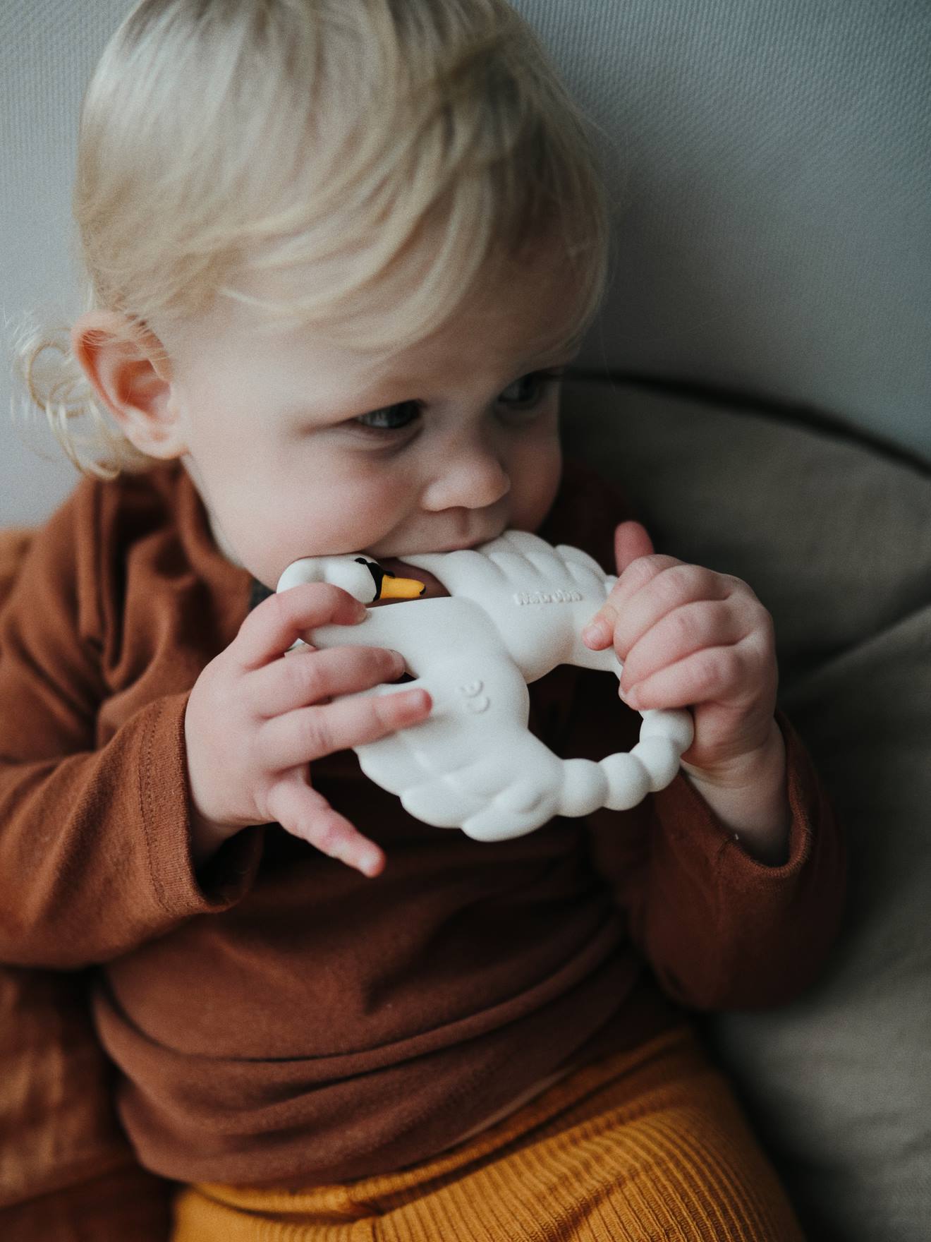 Thumbnail - Zahnungshilfe Beißring NATRUBA