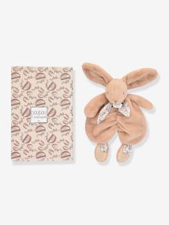 Spielzeug-Baby-Kuscheltiere & Stofftiere-Baby Plüsch-Hase mit Halstuch DOUDOU ET COMPAGNIE