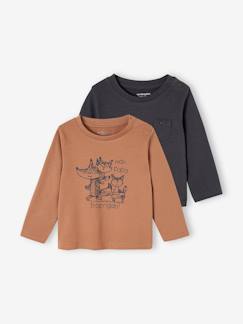 Babymode-Shirts & Rollkragenpullover-Shirts-2er-Pack Baby Shirts BASICS