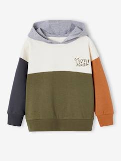 Jungenkleidung-Pullover, Strickjacken, Sweatshirts-Jungen Kapuzensweatshirt im Colorblock-Style Basics mit Recycling-Polyester