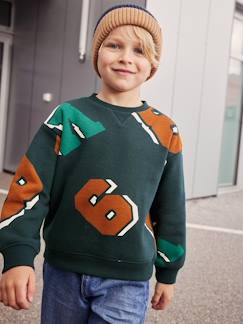 Jungenkleidung-Pullover, Strickjacken, Sweatshirts-Jungen Sweatshirt