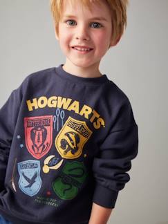 Jungenkleidung-Pullover, Strickjacken, Sweatshirts-Sweatshirts-Jungen Sweatshirt mit Wappen HARRY POTTER