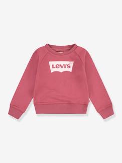 Maedchenkleidung-Pullover, Strickjacken & Sweatshirts-Mädchen Sweatshirt Logo Crew Levi's