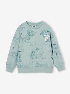 Jungenkleidung-Pullover, Strickjacken, Sweatshirts-Sweatshirts-Jungen Sweatshirt PAW PATROL