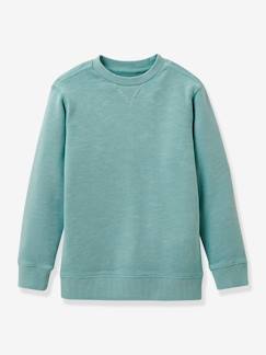 Jungenkleidung-Pullover, Strickjacken, Sweatshirts-Pullover-Jungen Sweatshirt CYRILLUS