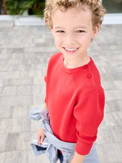 Jungenkleidung-Pullover, Strickjacken, Sweatshirts-Jungen Strickpullover
