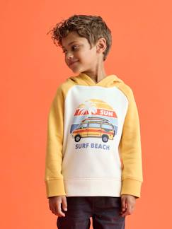 Jungenkleidung-Pullover, Strickjacken, Sweatshirts-Sweatshirts-Jungen Kapuzensweatshirt mit Surfer-Print