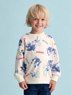 Jungenkleidung-Pullover, Strickjacken, Sweatshirts-Sweatshirts-Jungen Sweatshirt SONIC