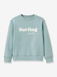 Meliertes Jungen Sweatshirt CYRILLUS aus Bio-Baumwolle  [numero-image]