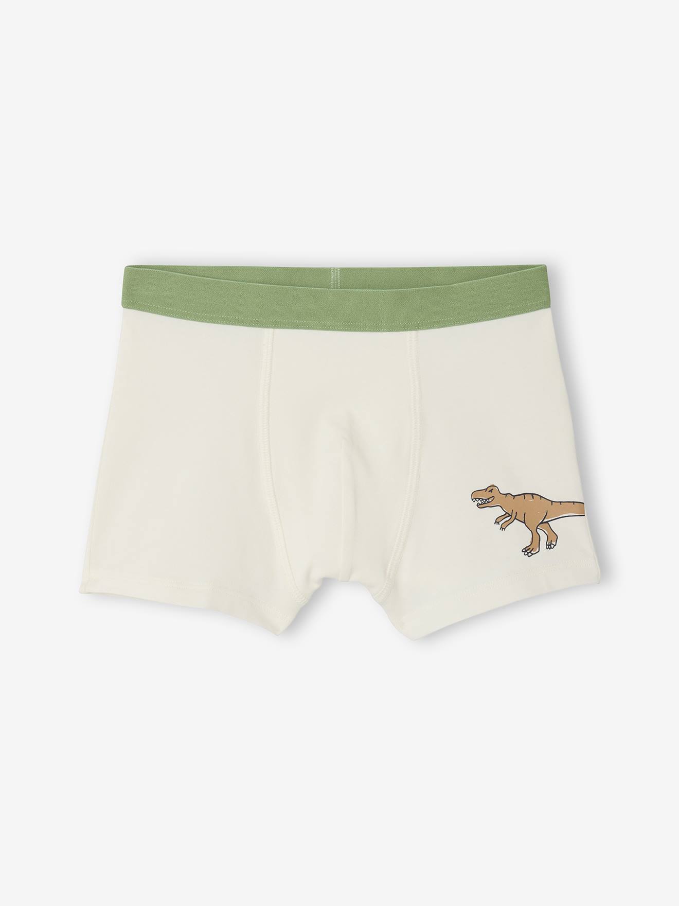 Thumbnail - 5er-Pack Boxershorts mit Dinosaurier Bio-Baumwolle