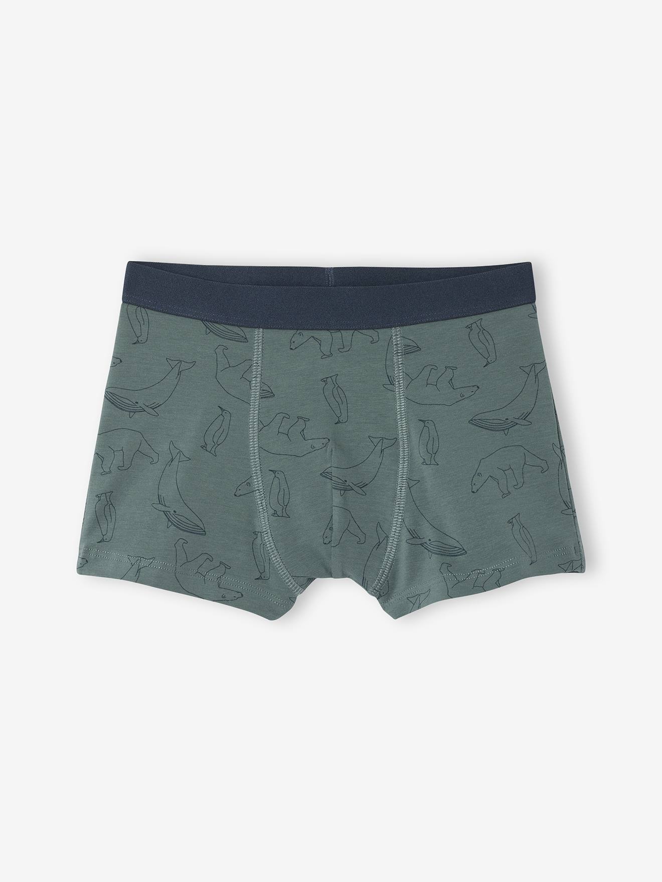Thumbnail - 7er-Pack e Boxershorts mit Bären aus Bio-Baumwolle