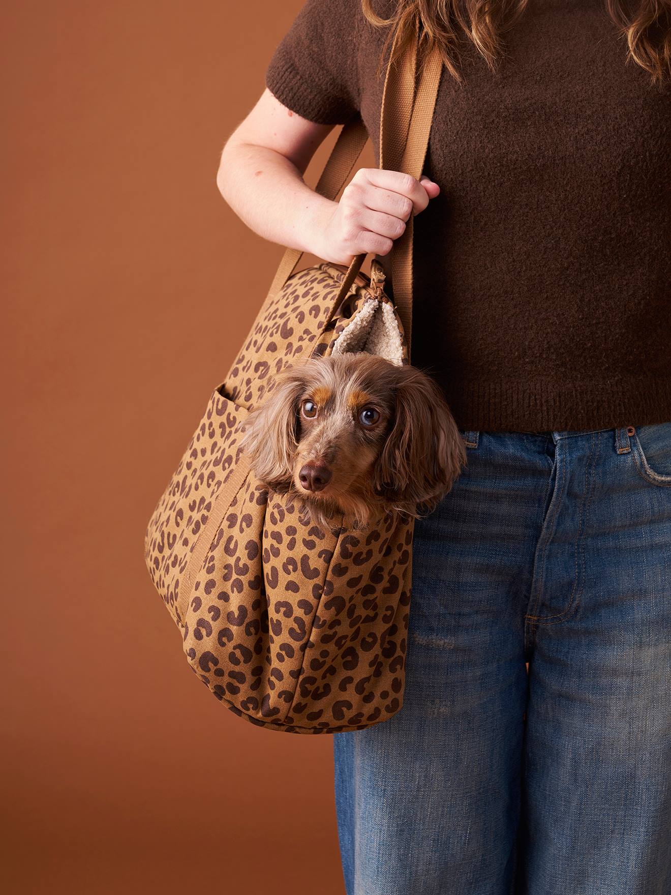 Transporttasche Hunde & Katzen