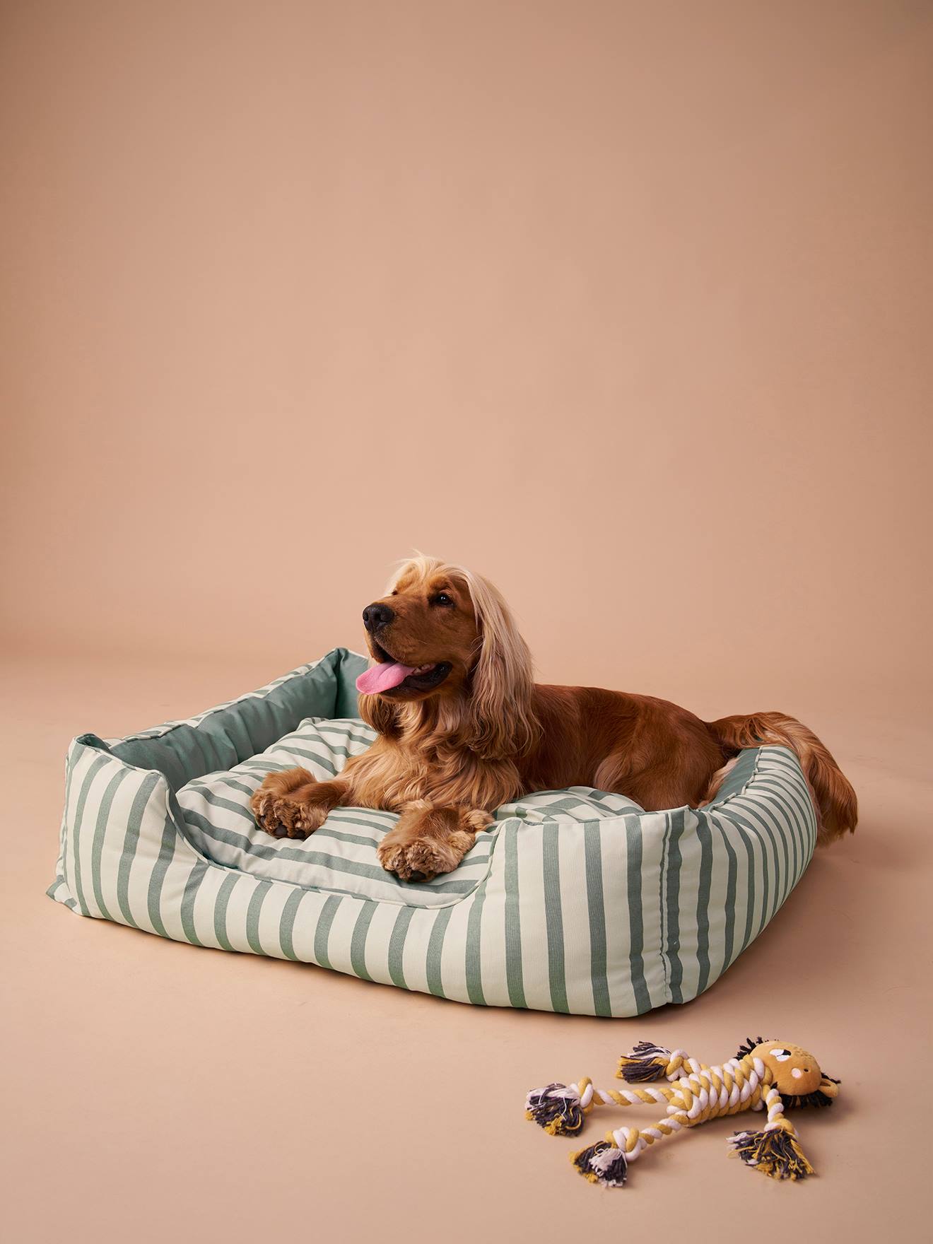 Hundebett mit Wendekissen aus Baumwollstoff