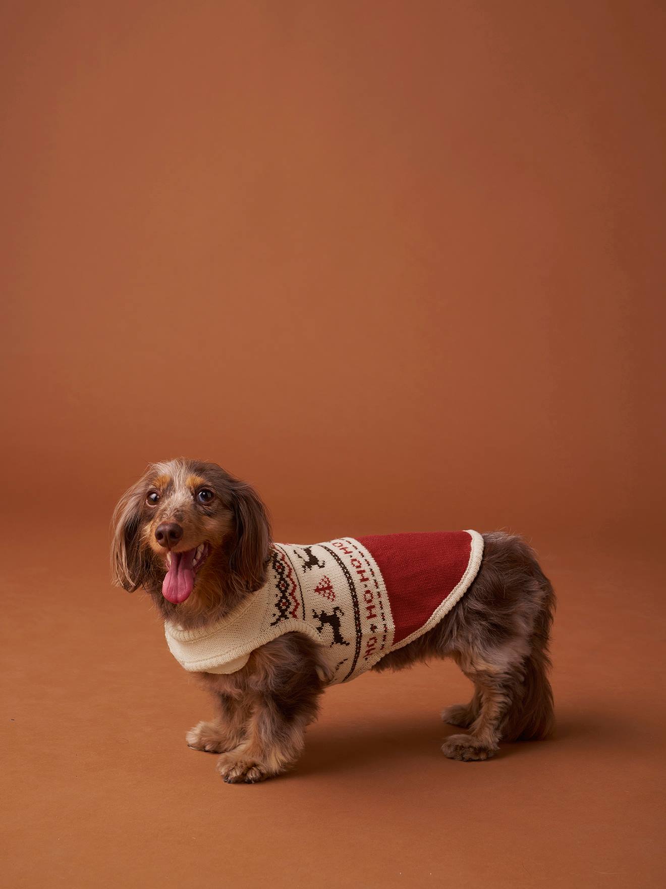 Pullover für Hunde mit Klettverschluss