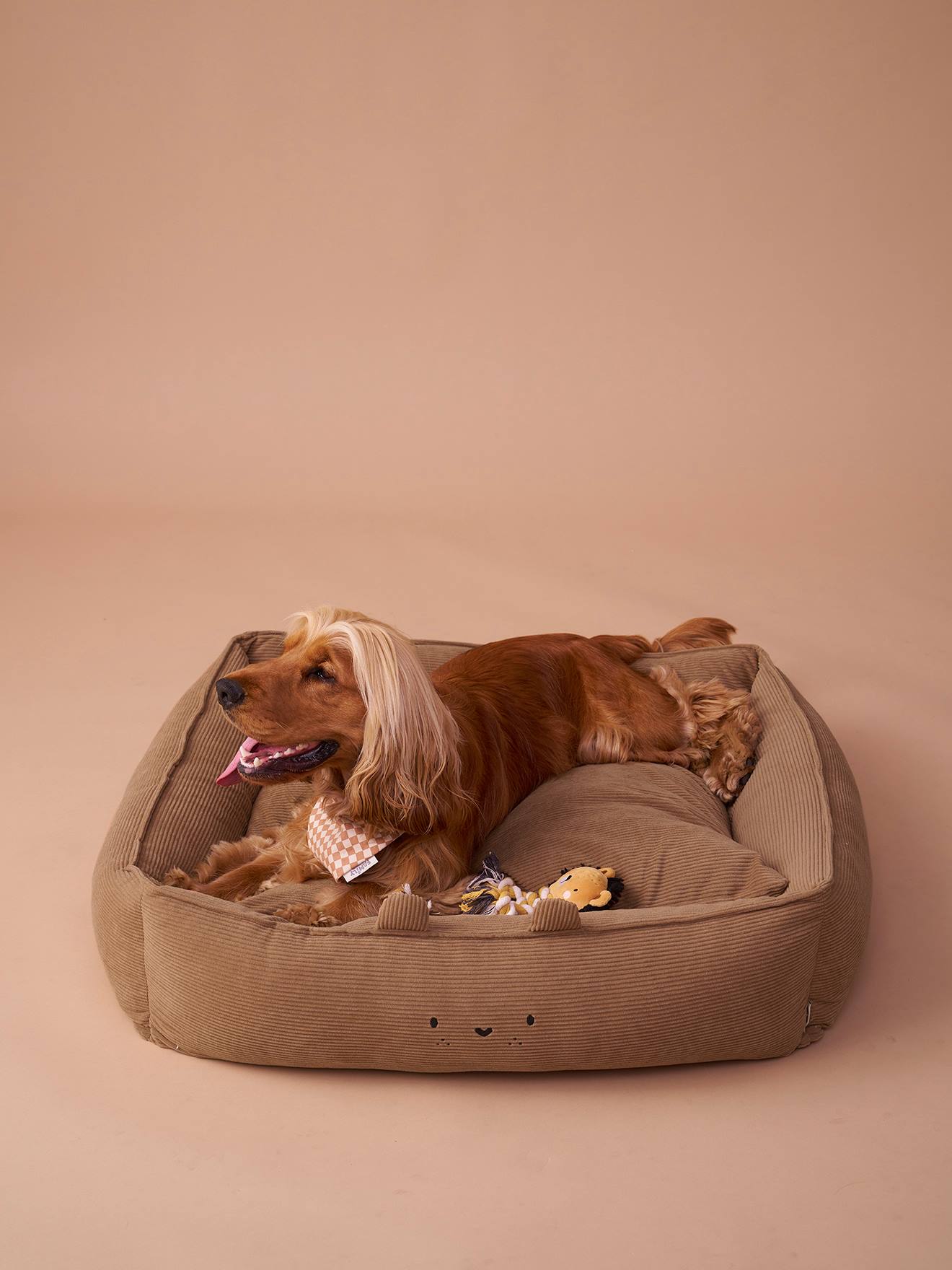 Thumbnail - Gepolstertes Hundebett aus Feincord