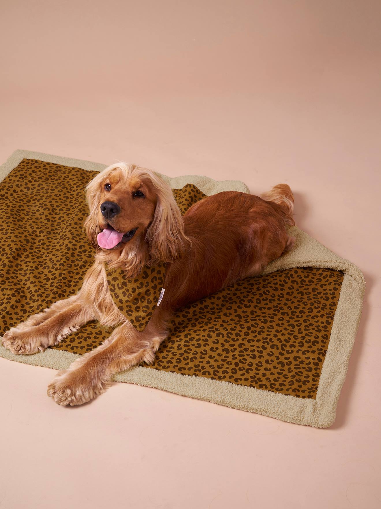 Wendbare Hundedecke