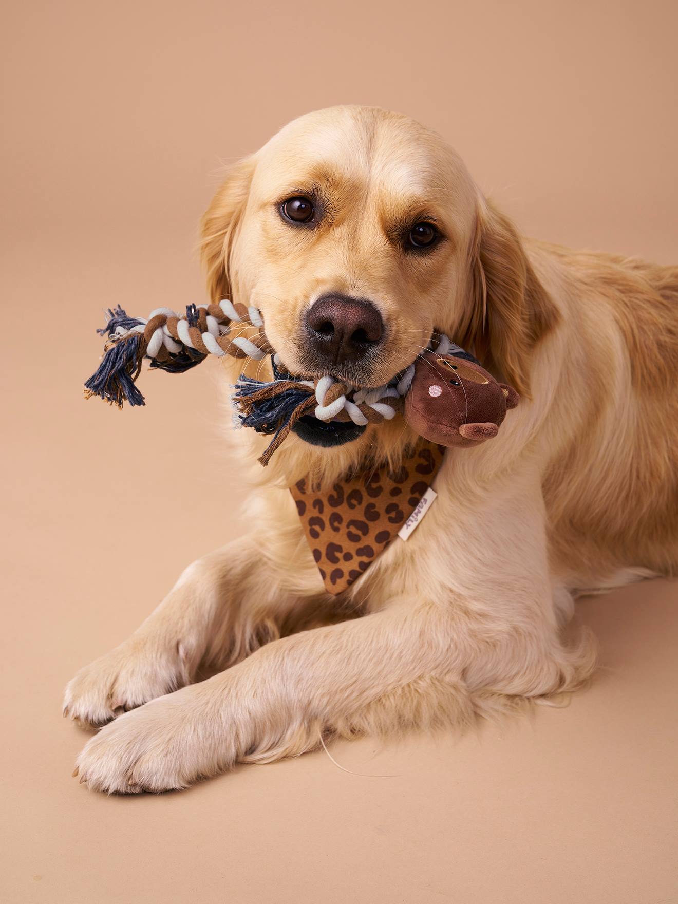 Thumbnail - Hundespielzeug Seil mit Knoten