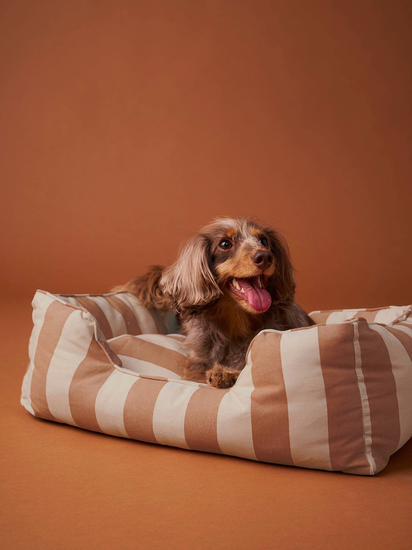 Hundebett mit herausnehmbarem Kissen