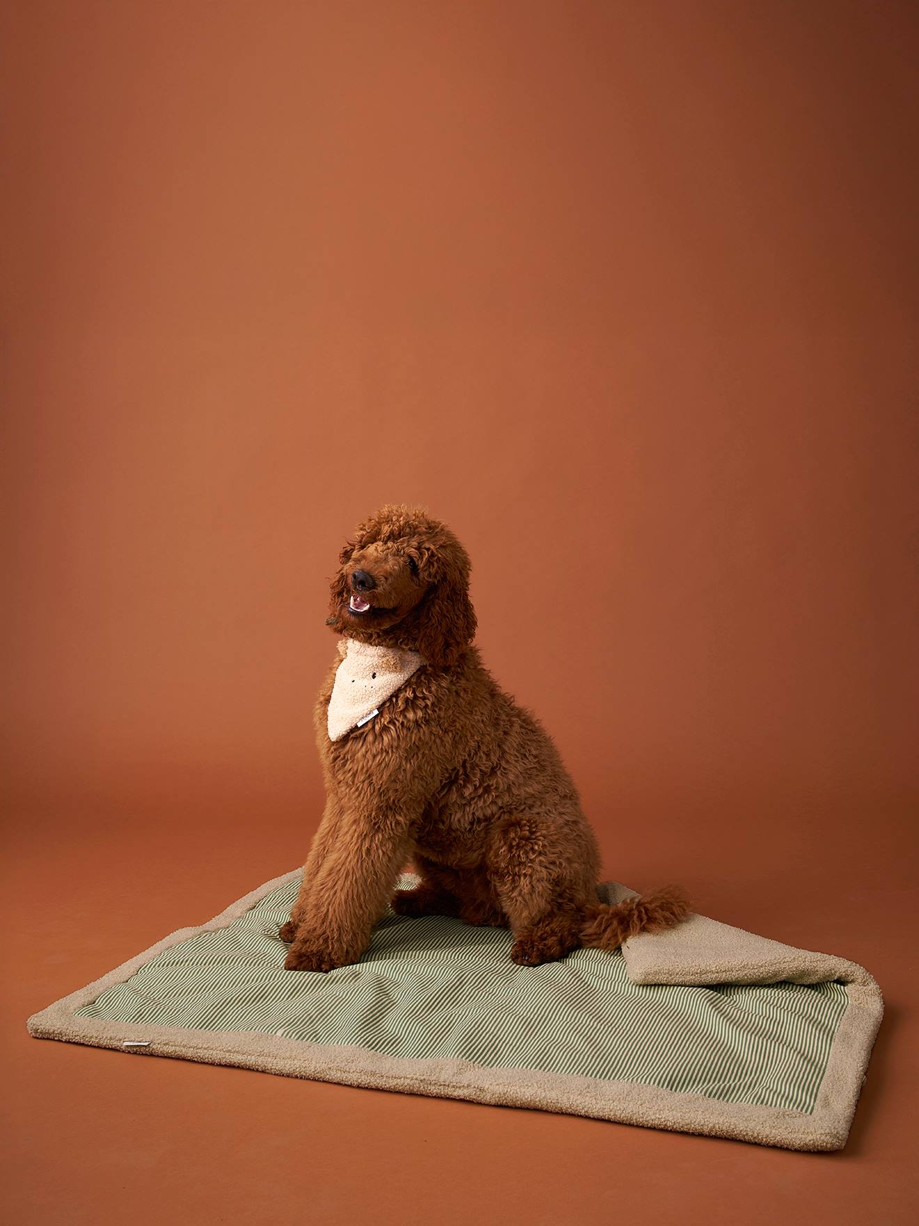 Wendbare Hundedecke