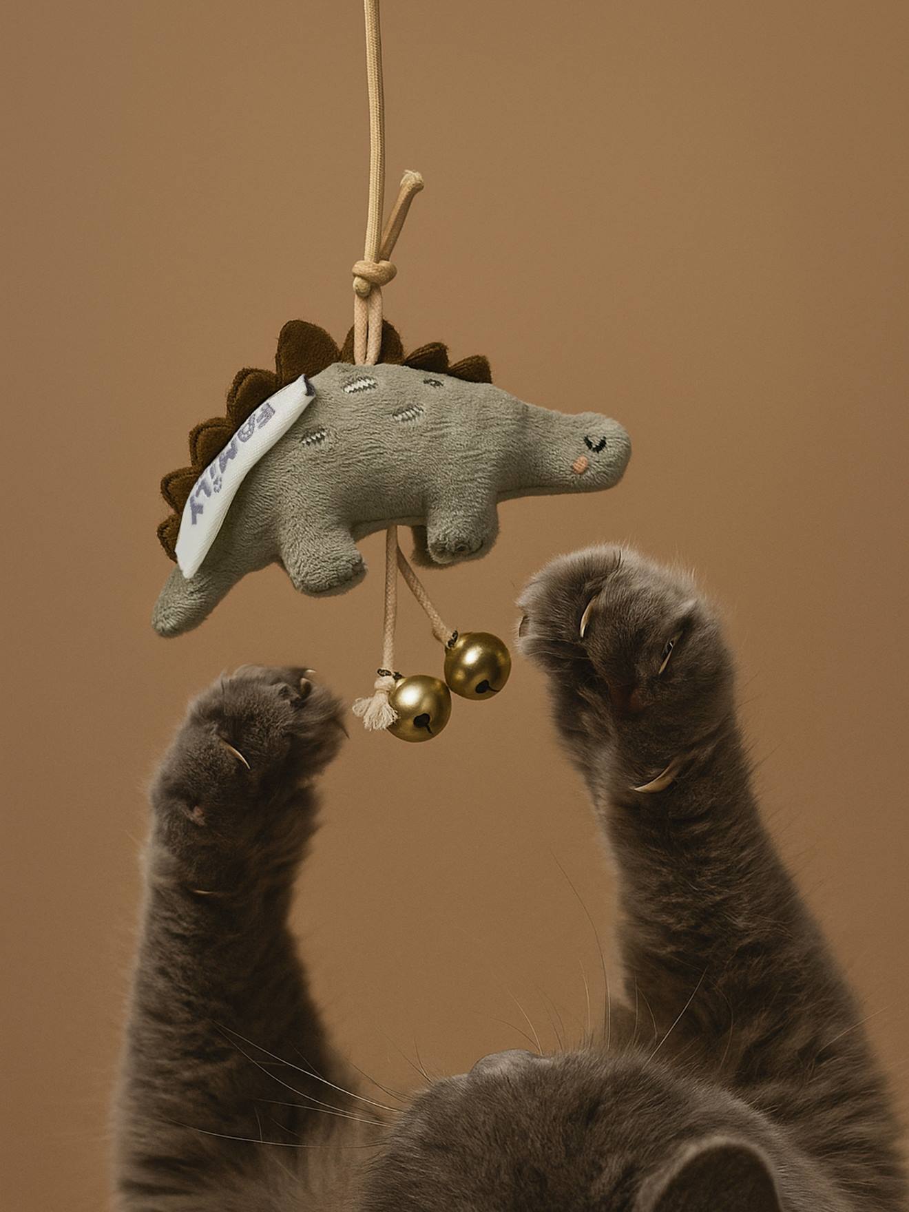 Katzenangel mit Dinosaurier-Spielzeug